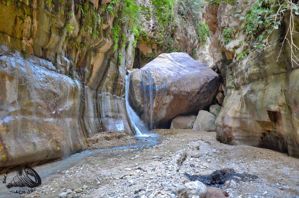 الجمال الاخاذ في وادي الكرك 