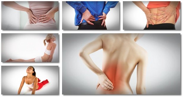 شاي البابونج والزنجبيل ..  للتخلّص من آلام الظهر