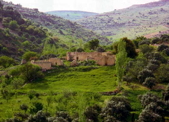 منتزه سياحي بـ 350 الف دينار بعجلون  .. 
