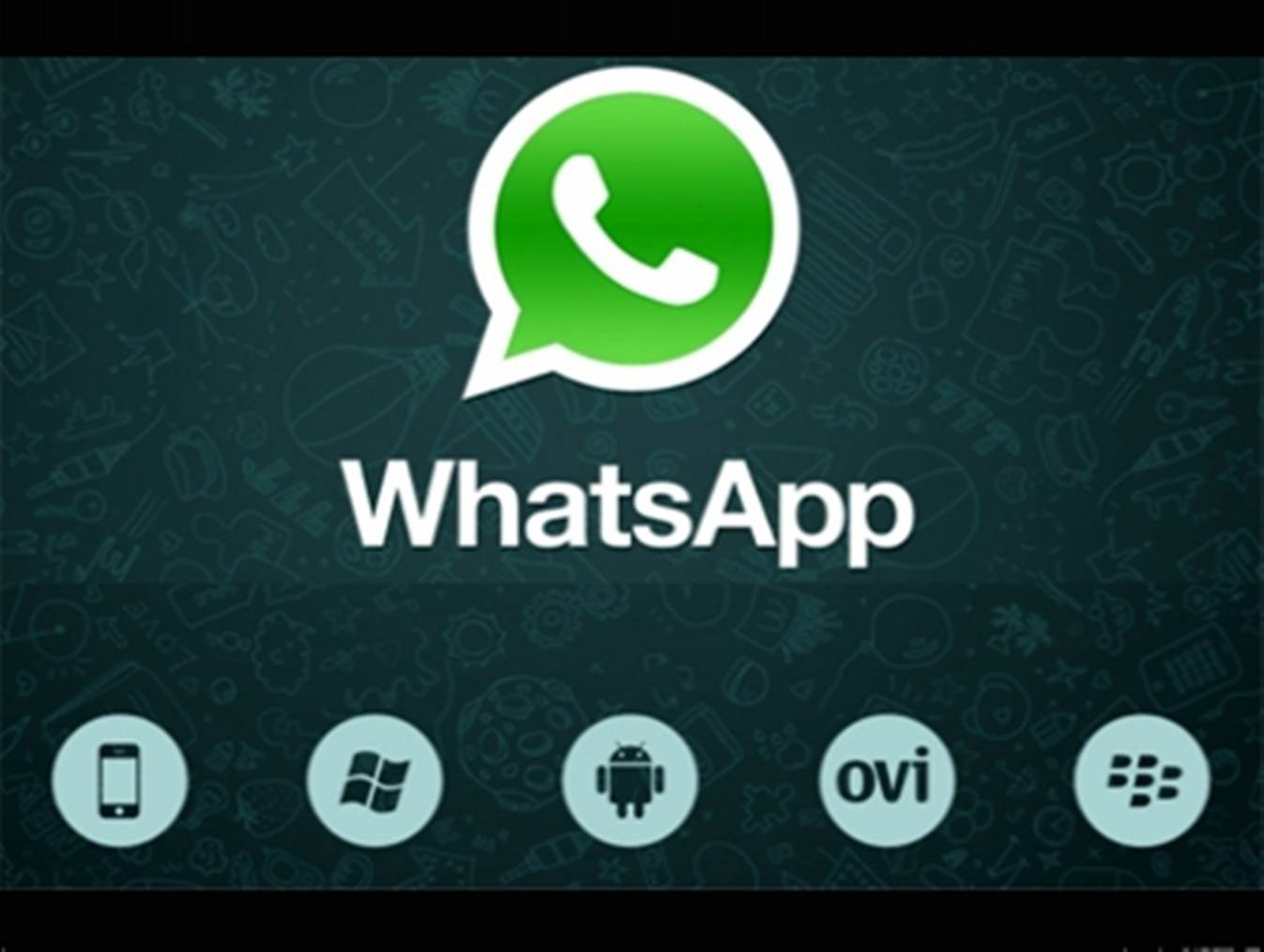600 مليون مستخدم لـ واتس آب  ..  صورة 