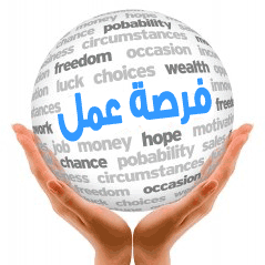 توفر 500 فرصة عمل  .. 