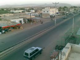 القويرة ونقص الخدمات والكلاب الضالة  ..  !