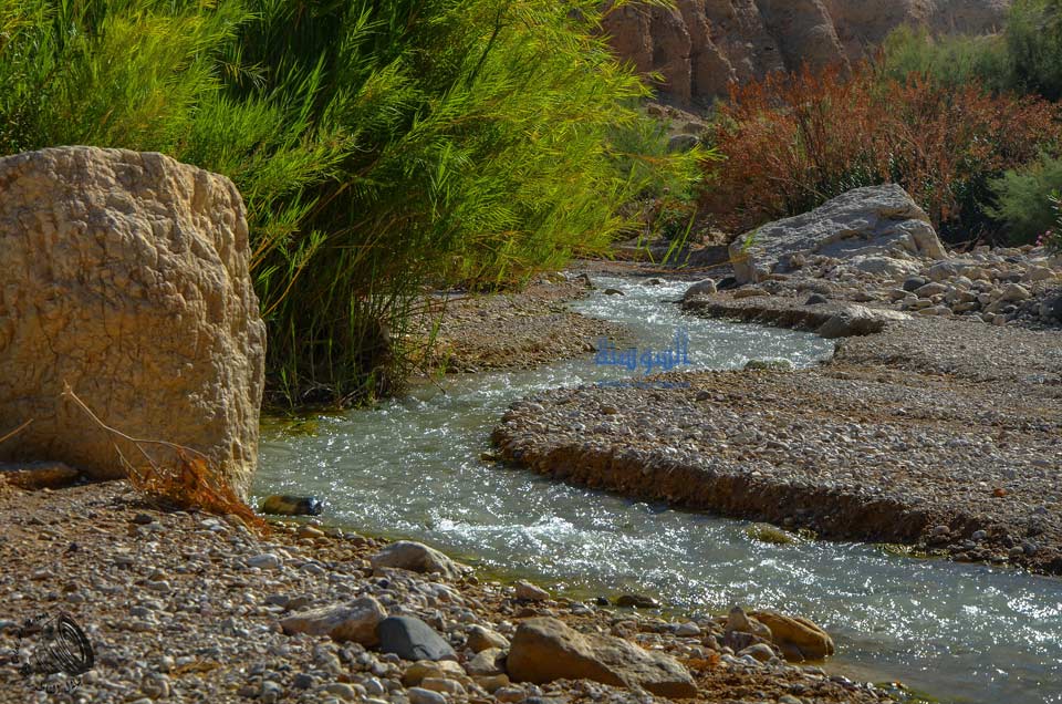 وادي ابن حماد من ناحية البحر الميت