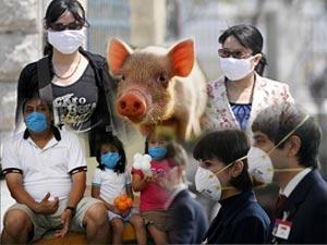 إجراءات وقائية تحميك من أنفلونزا الخنازير