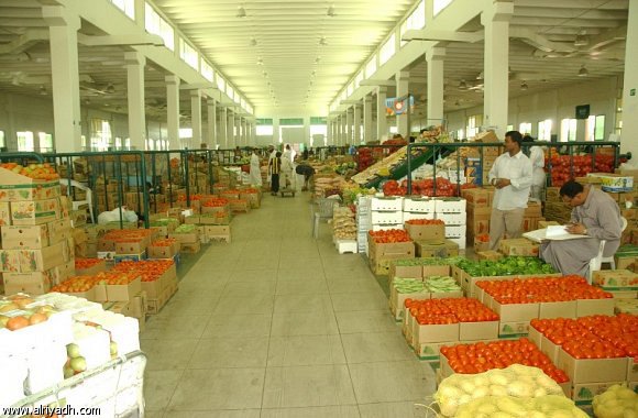 تصدير 200 طن خضار يوميا لسورية ولبنان