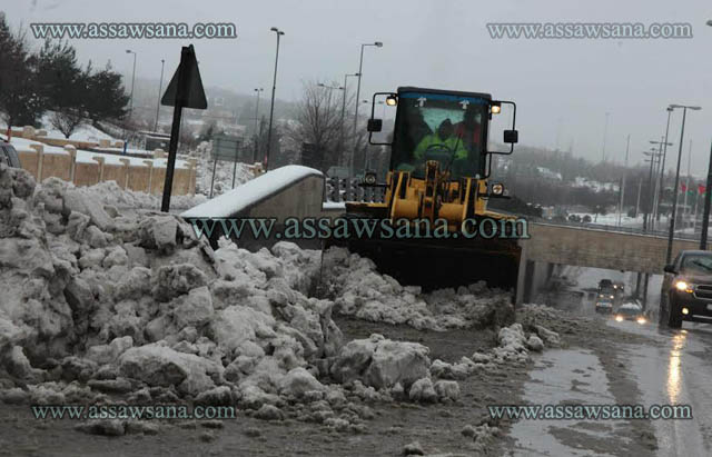 كوادر الأمانة تواصل عملها  ..  صور