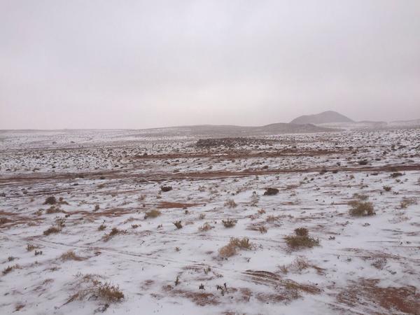 الزائر الابيض يصل السعودية  ..  صور