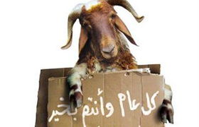خروف يضحي بمالكه قبل العيد