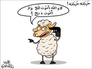 خروف يفشل في الانتحار قبل عيد الأضحى 