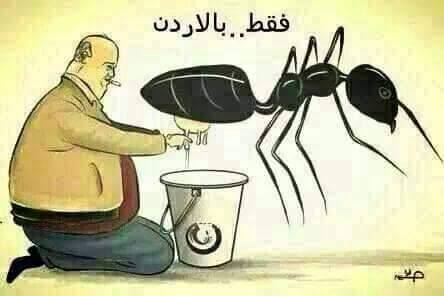 فقط في الاردن
