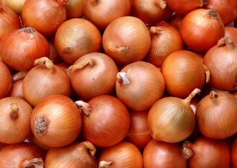 عشرات المركبات محملة بالبصل تحتج امام الزراعة