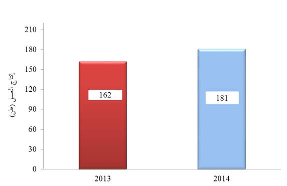 11.7 % ارتفاع كمية إنتاج العسل عام  2014 
