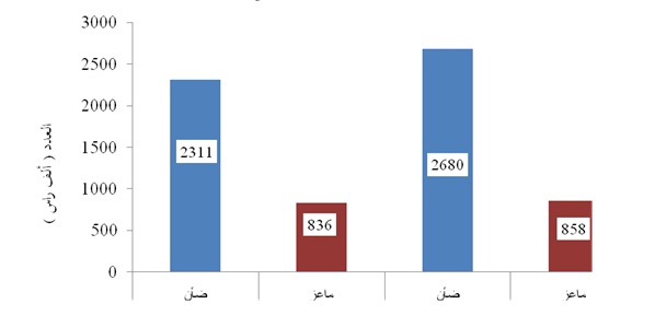 12 % نسبة ارتفاع أعداد الاغنام في عام 2014 
