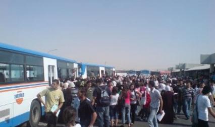 20 حافلة جديدة لطلبة الهاشمية