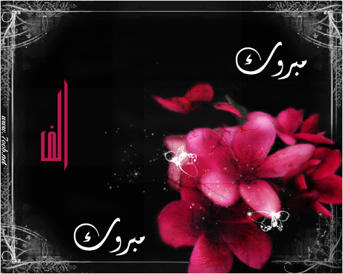 عاكف الشبول يهنئ علي وعلاء ويزن وعدي  .. 