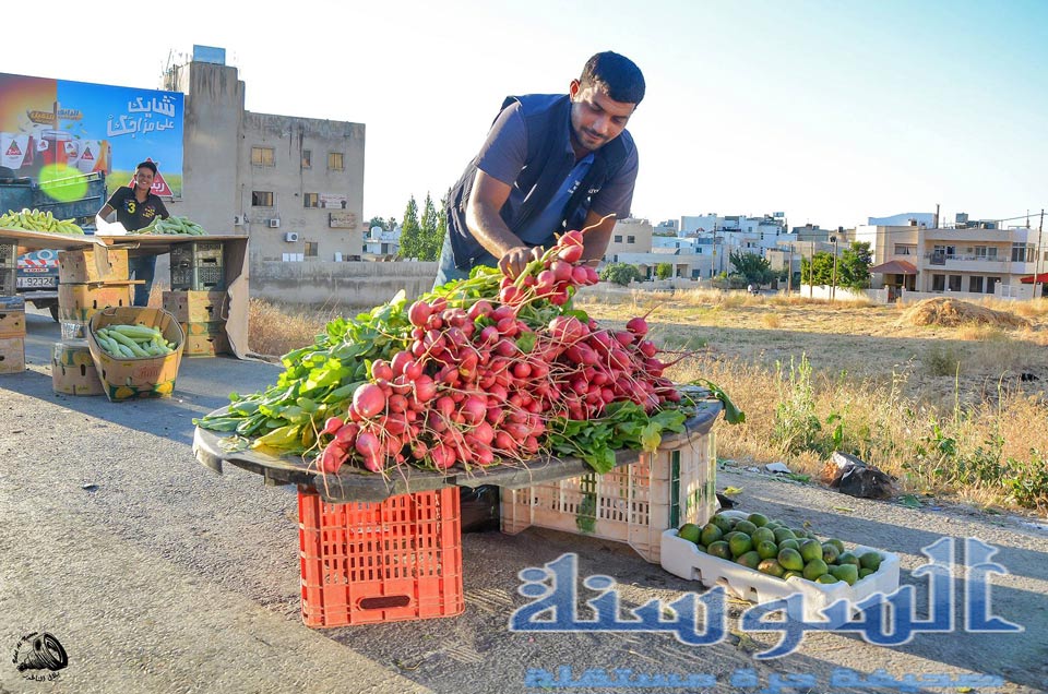 الاردن : الفجل والجرير على جنبات الطرق  برمضان 