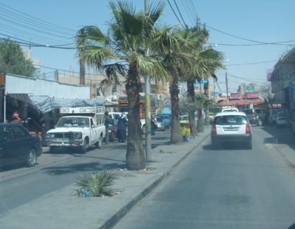 معان تطلق مبادرة حبك يا وطن يجمعنا