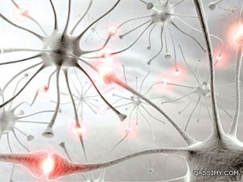ابتكار جهاز للتحكم بالخلايا العصبية عن بعد