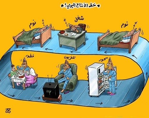خط الانتاج اليومي عند الاردني