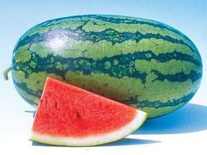 قريباً ..  البطيخ وقوداً للسيارات