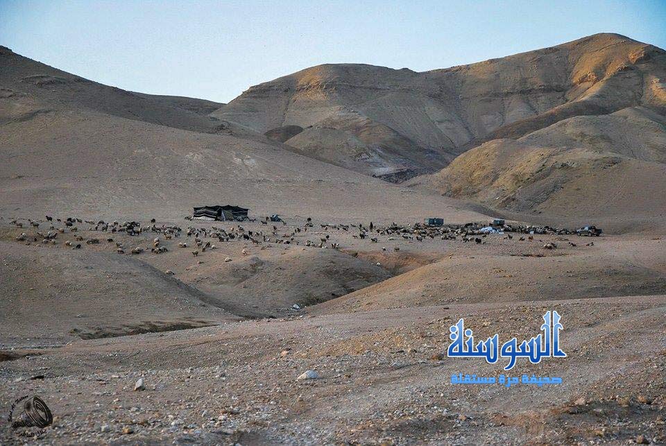 من البادية الاردنية