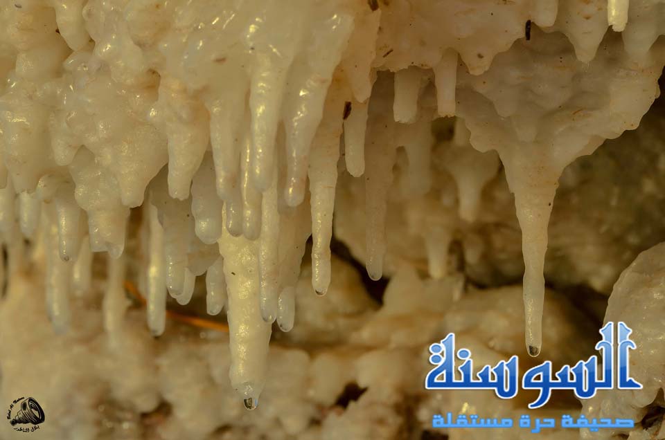 املاح البحر الميت