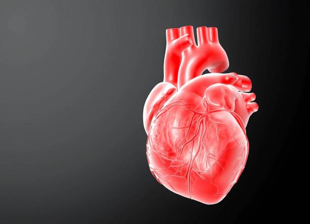 امراض القلب والأوعية الدموية سببها قلة النوم