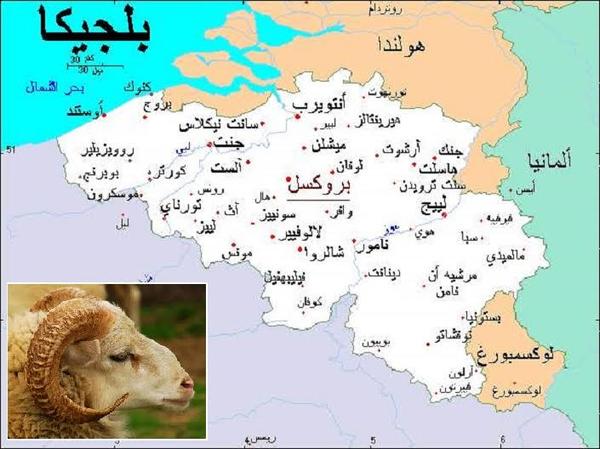 مليون مسلم ممنوعون من ذبح الأضحية في بلجيكا