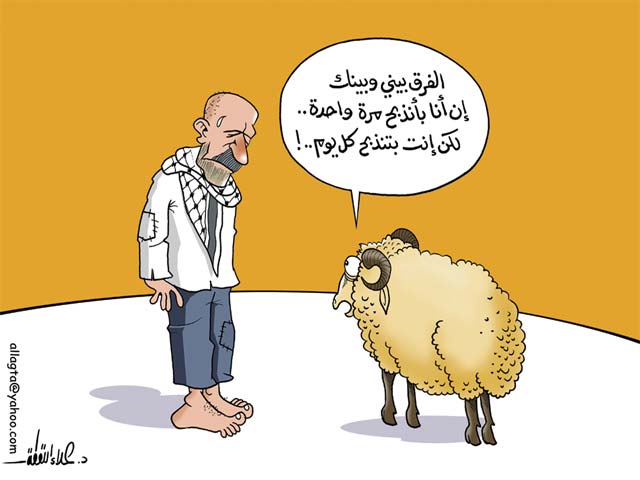 خروف العيد ومعاناة الفلسطينيين