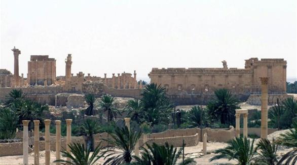 مقتل 12 مدنياً و20 داعشياً في غارات للنظام على تدمر