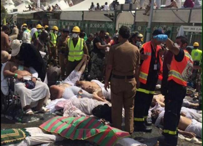 ارتفاع عدد ضحايا الحجاج الإيرانيين لـ 464 شخصا
