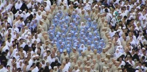 أروع صورة في الحج لهذا العام .. 