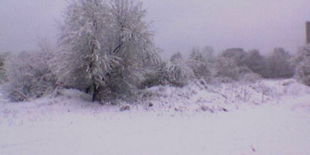  العاصفة الثلجية تقتلع الأشجار وتقطع الكهرباء وتغلق الطرق 