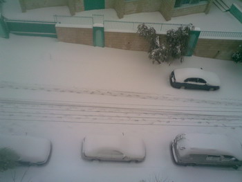 الثلج في عمان  ..  شاهد الصور