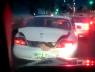 الاردن : راكب زيادة في الصندوق الخلفي  ..  فيديو