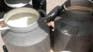 اتلاف 3ر1 طن ألبان ومشتقاتها بالطفيلة .. 