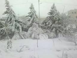 امطار وثلوج .. 