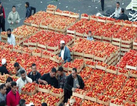 الزراعة: لن نتدخل بأسعار الخضروات 