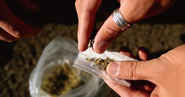 العثور على 260 كيس مخدر بمقبرة في الرمثا