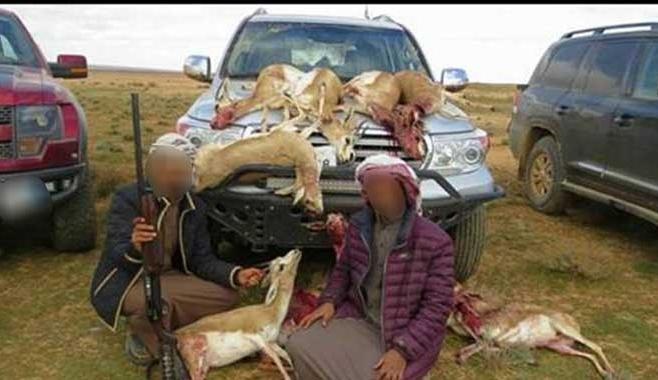 ضبط مفتعلي مجزرة الغزلان ..  صور