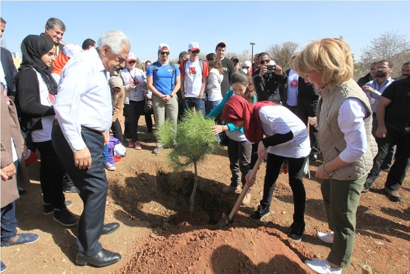 زراعة 120 الف شجرة في عمان