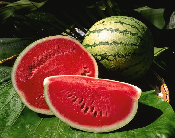 الاردن يصدر 2700 طن بطيخ وشمام 