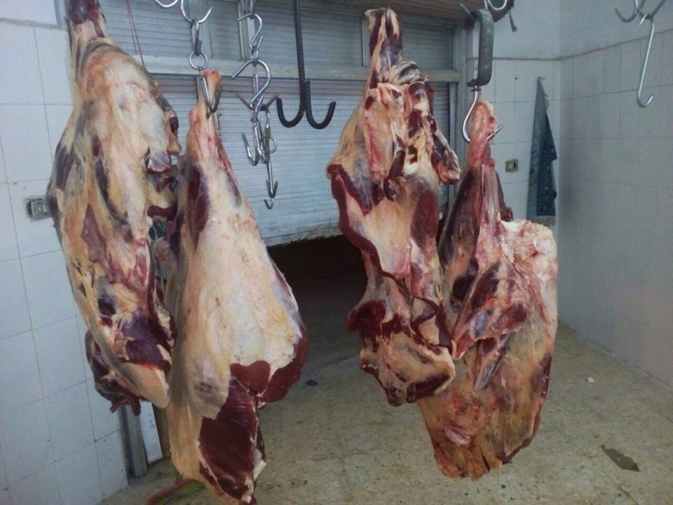 ضبط نصف طن لحوم مصابة بمرض الصفار بإربد -صور