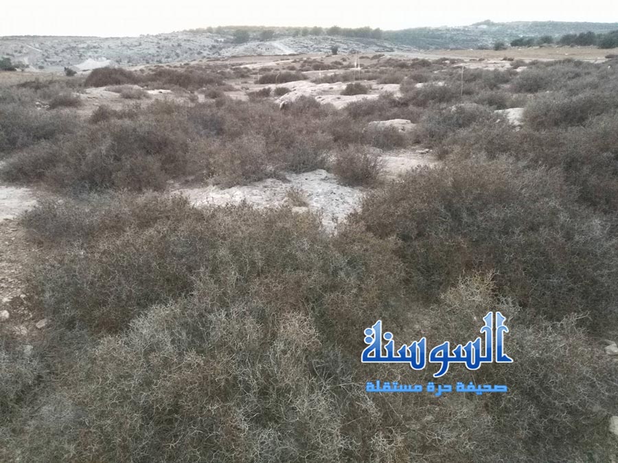 البلان ينتشر في الاردن