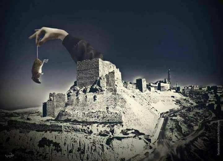 قلعة الكرك تقذف الجرذان