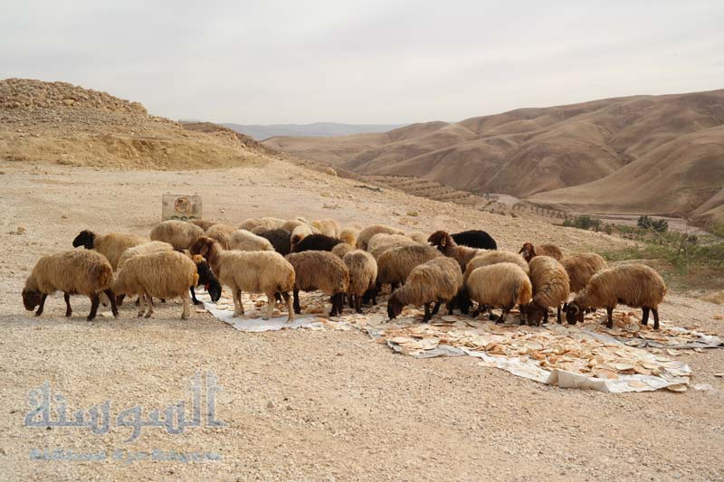  خبز ولحم