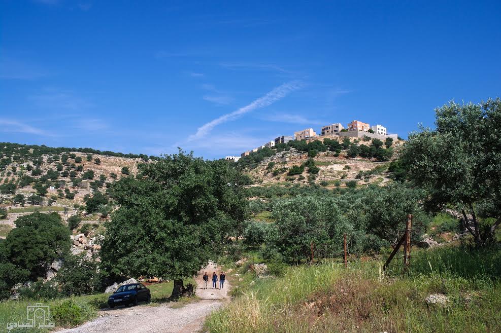 الربيع في الاردن