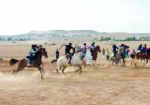 مهرجان للفروسية بمناسبة عيد الاستقلال ويوم الجيش