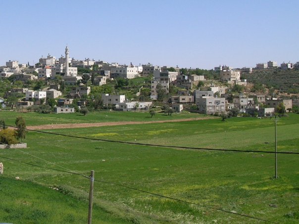اهالي عقربا في اربد يطالبون بتنشيط السياحة فيها  
