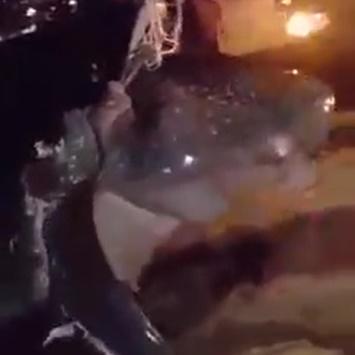 اصطياد حوت كبير بالعقبة - فيديو